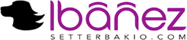 Logotipo de Plataforma de Formación - Setterbakio